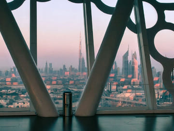 Dubai Frame and Safari Park Tour with Private Transfers