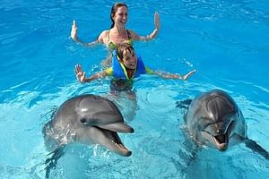 Dolphin Photo Session with Transfer - Hurghada