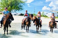 Caicos Islands Beach Horseback Riding Small-Group Tour 3