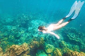 Phuket Phi Phi & Maya Bay Full-Day Speedboat Tour with Lunch