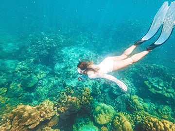 Phuket to Maya and Phi Phi Island withLunch Small Group Tour