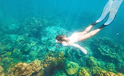 Phuket: Phi Phi, Maya Bay Small-Group Speedboat Tour with Lunch