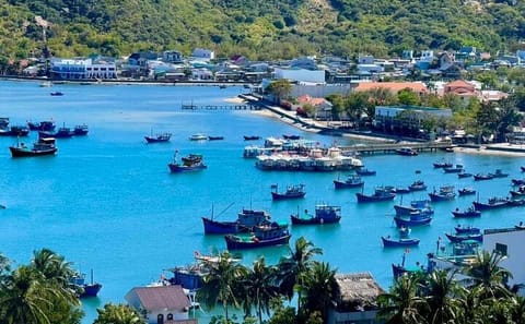 Vinh Hy Bay Snorkeling, Hidden Waterfall Discovery from Mui Ne