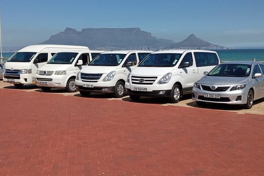 Shark Cage Diving + Wine Tasting Private From Cape Town F/D