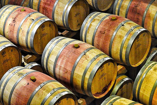 Stellenbosch winelands tour. Cape Town. Guided