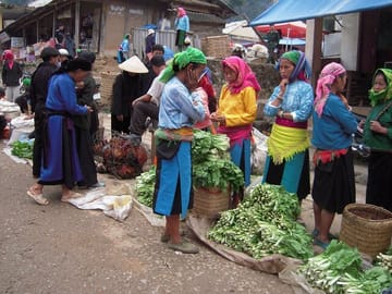 Off The Beaten Track Northeast Vietnam 7 days - Private Tour