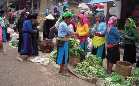 Off The Beaten Track Northeast Vietnam 7 days – Private Tour