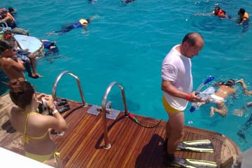 Snorkeling Tour at Dolphin House in Hurghada with Hotel Pickup