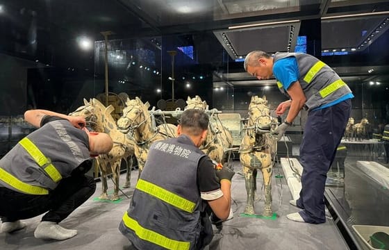 Private Day Tour to Terracotta Warriors Museum and Lishan Garden