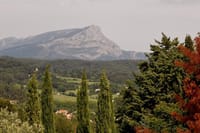 "Cézanne and Vinyards" Aix-en-Provence and Wine Tasting 8