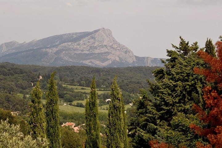 "Cézanne and Vinyards" Aix-en-Provence and Wine Tasting 8