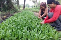 Village tour