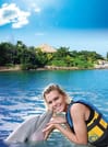 Dolphin Royal Swim at Montego Bay 3