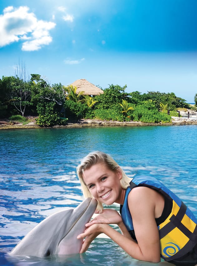 Dolphin Royal Swim at Montego Bay 3