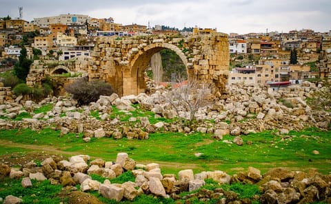 Half-Day Cultural Tour of Jerash from Amman