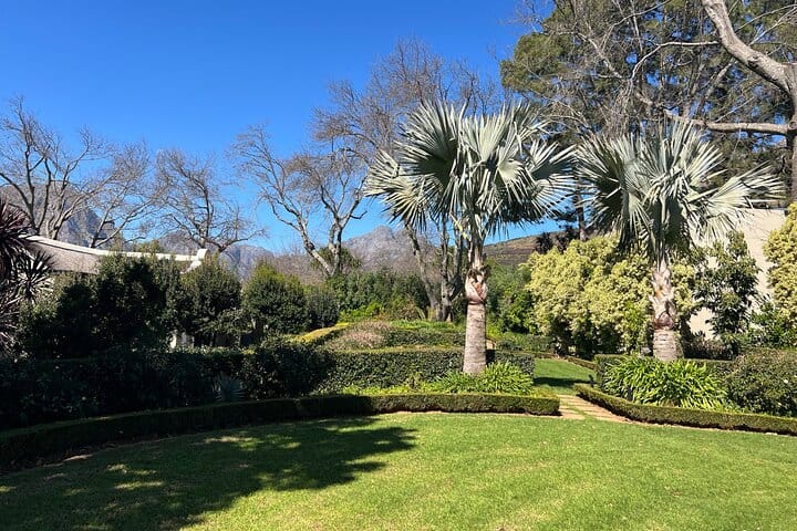 Giraffe Encounter and Lion Park with Wine Tasting in Stellenbosch