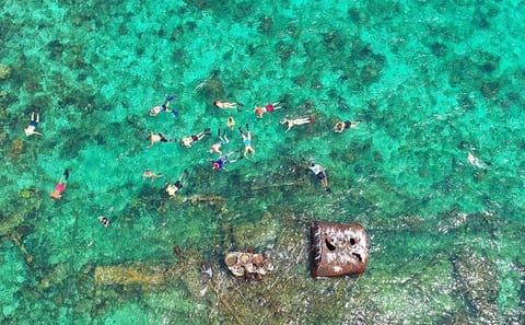 Snorkeling at Shipwreck and Blue Channel with Iguana Farm Tour