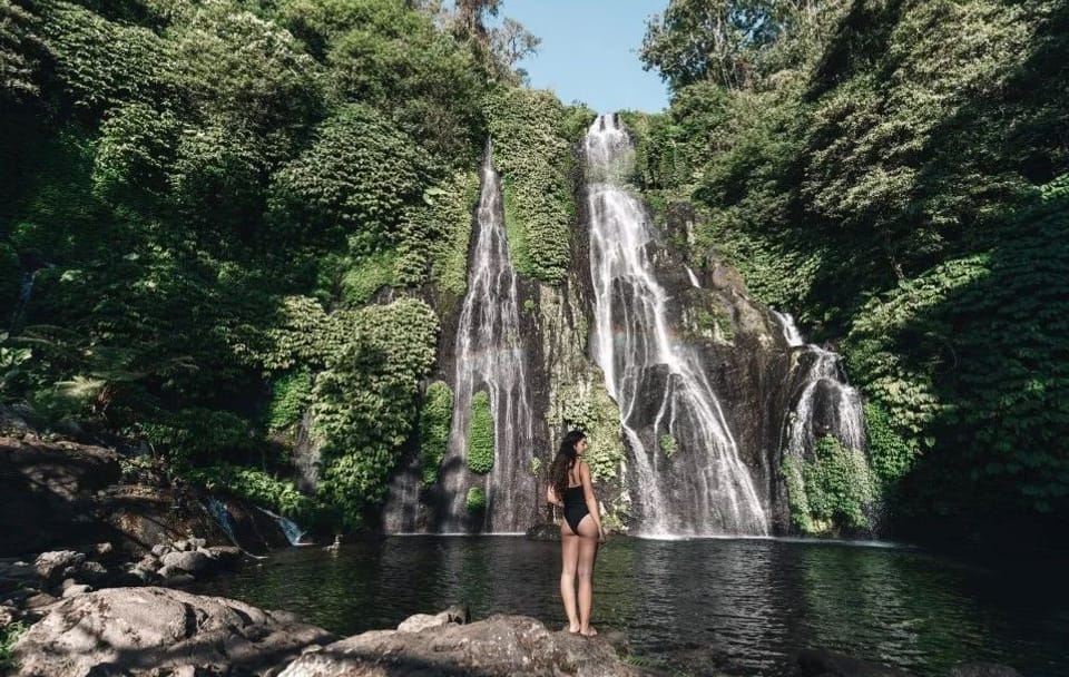 Sunrise Dolphin Watching and Waterfall Tour in North Bali