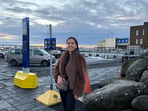 Private Airport Transfer: Reykjavik Cruise Port → KEF, photo 6