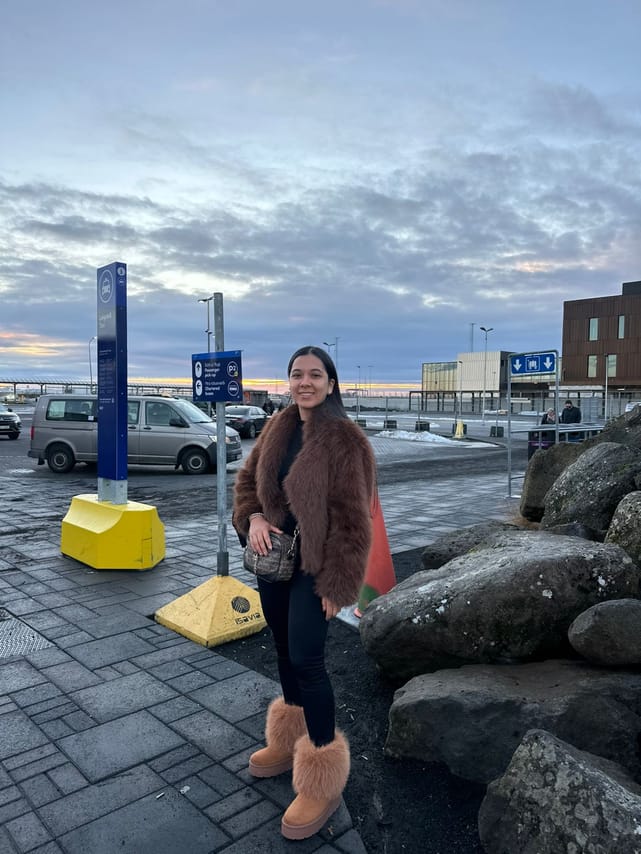 Private Airport Transfer: Reykjavik Cruise Port → KEF 6