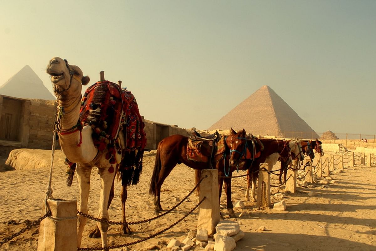 Best Of Egypt - 5* Cruise