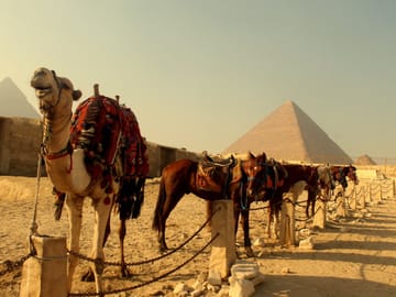 Cultural Nile Cruise and Highlights of Cairo and Aswan