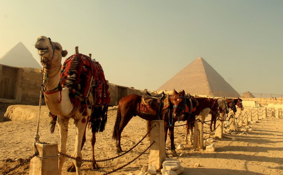 Cultural Nile Cruise and Highlights of Cairo and Aswan