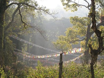 19 Days Mera Peak Climbing & Expedition – One Life-Changing Himalayan Adventure