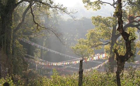 Phulchowki Day Hike from Godawari for Scenic Views