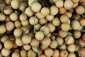 10 Days Unforgettable Journey Through Indochina