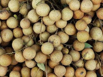 10-Day Cultural Tour of Ho Chi Minh City and My Tho