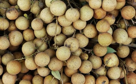 10-Day Cultural Tour of Ho Chi Minh City and My Tho