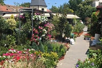 Private Walking Tour of Belgrade and Old Zemun 4