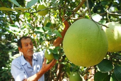 Half-day Thuy Bieu Village Cycling Adventure