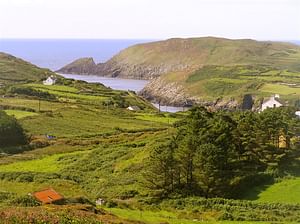 Explore Cape Clear island departing Schull. West Cork. Self-guided. 