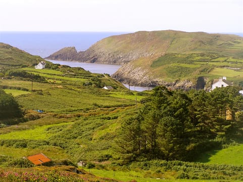 Explore Cape Clear island departing Schull. West Cork. Self-guided. 