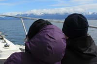 Beagle Channel Yacht Sailing Tour from Ushuaia 8