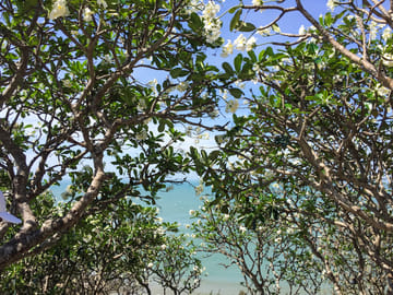 Day Trip to Vung Tau from Ho Chi Minh City
