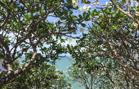 Day Trip to Vung Tau from Ho Chi Minh City