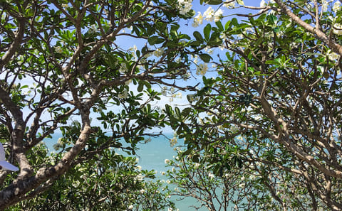Day Trip to Vung Tau from Ho Chi Minh City