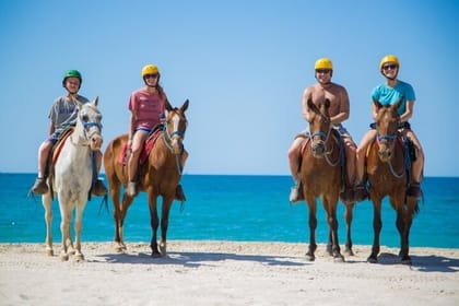 Horse Riding on the beach With Transfer From Sharm El Sheikh