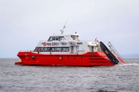 Half Day sailing to Magdlena Island Penguin Colony from Punta Arenas Season from October to March  5