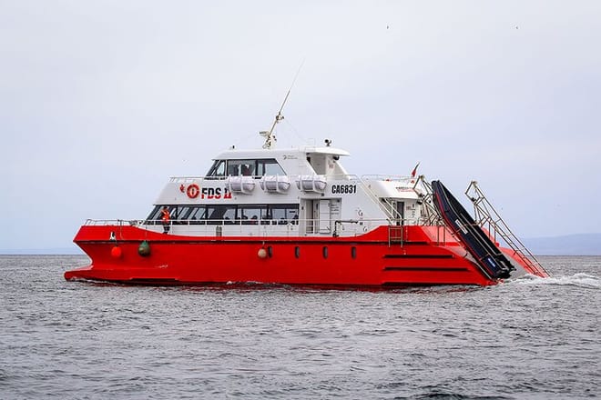 Half Day sailing to Magdlena Island Penguin Colony from Punta Arenas Season from October to March  5