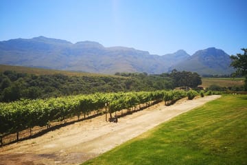 Private Wine Tasting Tour in Cape Winelands from Cape Town