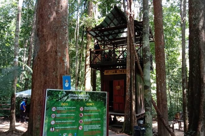 Taman Negara National Park Trekking Day Tour (SIC - Join In Tour) 8