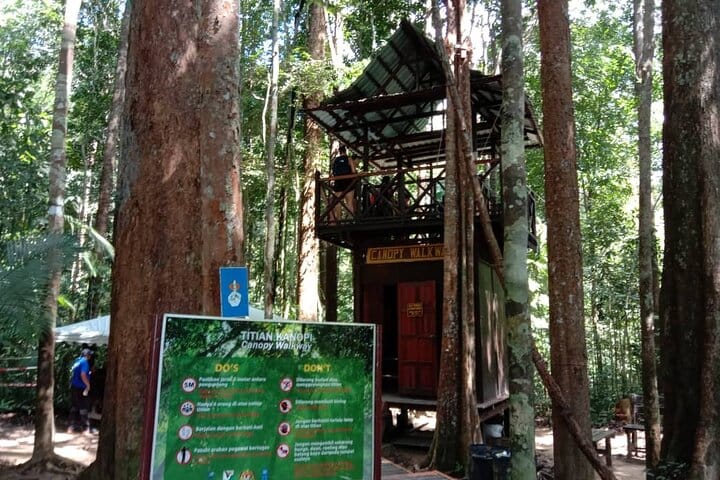 Taman Negara National Park Day Tour (Join In Tour) 7