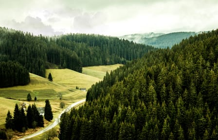Private 10-Day Alsace and Black Forest Tour from Frankfurt