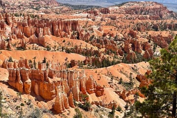 Private Tour to Zion National Park from Las Vegas