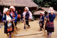 Doi Tung & Royal Villa 8