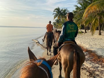 Placencia beach horseback riding tour